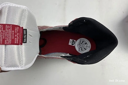 Comfortable 100 DA2728 1 217 Air Trophy Room x High Jordan OG 0827